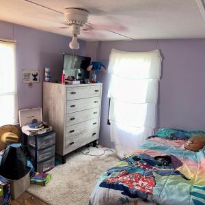 Photo #18 of 31083 CHESSER RD, TEMPERANCEVILLE, VA 2.6 acres