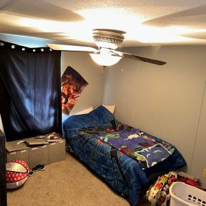 Photo #19 of 31083 CHESSER RD, TEMPERANCEVILLE, VA 2.6 acres