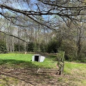 Photo #4 of 31083 CHESSER RD, TEMPERANCEVILLE, VA 2.6 acres