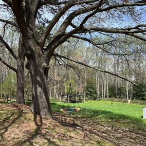 Photo #5 of 31083 CHESSER RD, TEMPERANCEVILLE, VA 2.6 acres