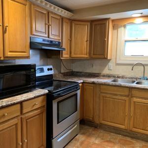 Photo #12 of 39065 CHURCH ST, GREENBACKVILLE, VA 0.2 acres