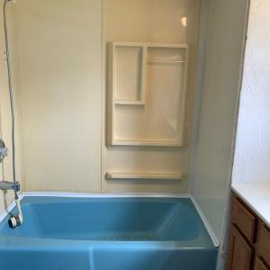 Photo #18 of 39065 CHURCH ST, GREENBACKVILLE, VA 0.2 acres