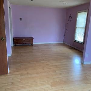 Photo #19 of 39065 CHURCH ST, GREENBACKVILLE, VA 0.2 acres