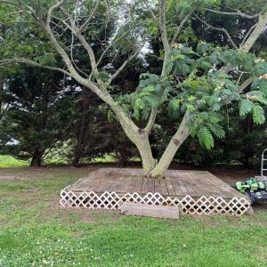 Photo #38 of 19291 RASPBERRY DRIVE, MELFA, VA 0.8 acres