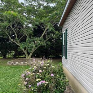 Photo #40 of 19291 RASPBERRY DRIVE, MELFA, VA 0.8 acres