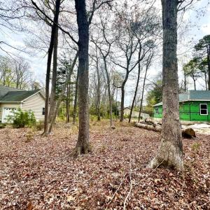 Photo #3 of LOT 2427 BRIGANTINE BLVD, GREENBACKVILLE, VA 9,750.0 acres