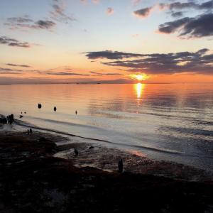 Sunset 2