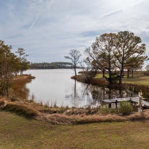 Creek View