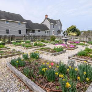 Williamsburg Garden