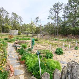 Vegetable Garden
