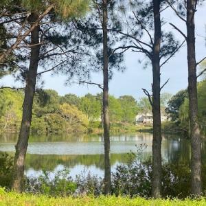 Photo #5 of 3231 TOWER HILL CIRCLE, CAPE CHARLES, VA 0.7 acres