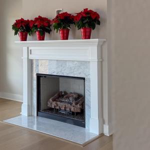 Photo #22 of 3231 TOWER HILL CIRCLE, CAPE CHARLES, VA 0.7 acres