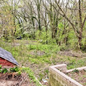 Photo #5 of 10155 ATLANTIC RD, ATLANTIC, VA 0.8 acres