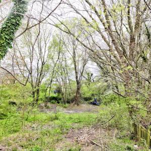 Photo #68 of 10155 ATLANTIC RD, ATLANTIC, VA 0.8 acres