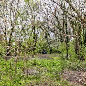 Photo #69 of 10155 ATLANTIC RD, ATLANTIC, VA 0.8 acres