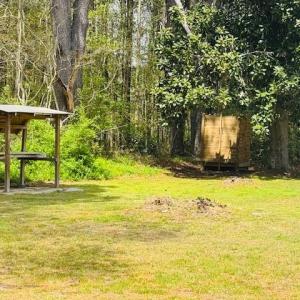 Photo #17 of 26061 SAXIS RD, TEMPERANCEVILLE, VA 0.7 acres