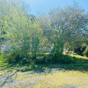 Photo #26 of 3512 SUNNYSIDE RD, CAPE CHARLES, VA 0.3 acres