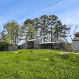 Photo #52 of 30065 BACK CREEK RD, HACKSNECK, VA 12.7 acres