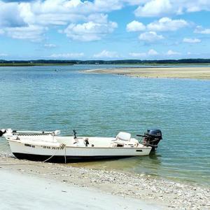 Photo #4 of 26156 HENRYS POINT LN, ACCOMAC, VA 6.0 acres