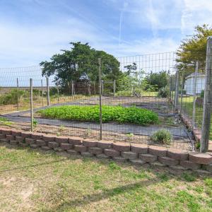 Photo #62 of 26156 HENRYS POINT LN, ACCOMAC, VA 6.0 acres