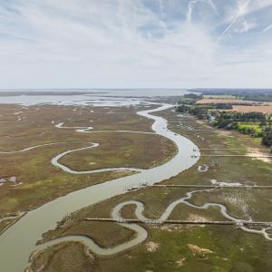 Photo #75 of 26156 HENRYS POINT LN, ACCOMAC, VA 6.0 acres