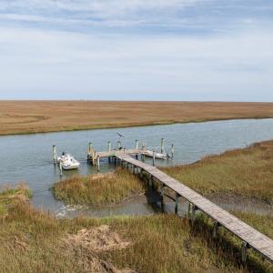 Photo #8 of 26156 HENRYS POINT LN, ACCOMAC, VA 6.0 acres