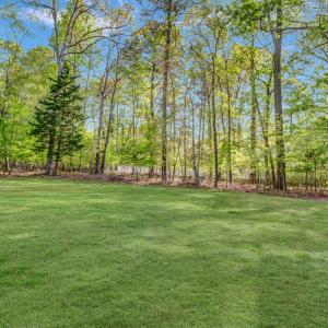 Photo #13 of 3950 CAPTAINS CORRIDOR, GREENBACKVILLE, VA 9,750.0 acres