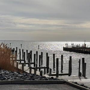 Photo #10 of Lot 484 DRY DOCK CT, GREENBACKVILLE, VA 12.0 acres