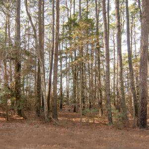 Photo #5 of Lot 484 DRY DOCK CT, GREENBACKVILLE, VA 12.0 acres