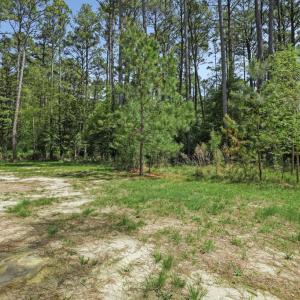 Photo #50 of 3047 DINGY CT, GREENBACKVILLE, VA 10.0 acres