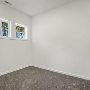 Photo #39 of 3047 DINGY CT, GREENBACKVILLE, VA 10.0 acres