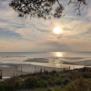 Photo #33 of 12182 HERON DR, MACHIPONGO, VA 1.1 acres