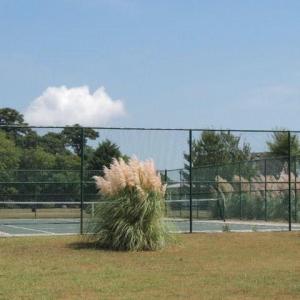 Photo #5 of 22358 PLUM TREE RD, CAPE CHARLES, VA 0.8 acres