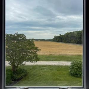 Photo #41 of 4433 WILSONIA NECK DR, MACHIPONGO, VA 1.0 acres
