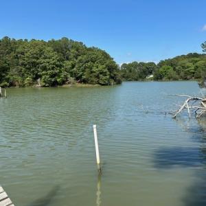 Photo #22 of 12103 TROUT LN, MACHIPONGO, VA 0.7 acres