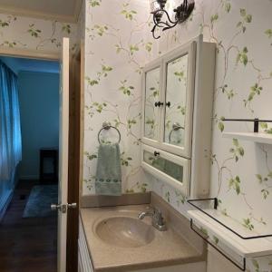 Photo #40 of 12103 TROUT LN, MACHIPONGO, VA 0.7 acres