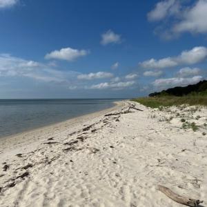 Photo #59 of 12103 TROUT LN, MACHIPONGO, VA 0.7 acres