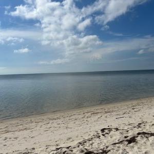 Photo #60 of 12103 TROUT LN, MACHIPONGO, VA 0.7 acres