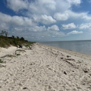 Photo #61 of 12103 TROUT LN, MACHIPONGO, VA 0.7 acres