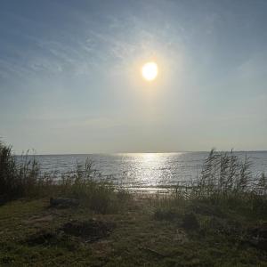 Photo #6 of 20411 SAXIS RD, SAXIS, VA 0.8 acres