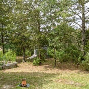 Photo #58 of 14397 BROADWAY RD, ONANCOCK, VA 13.5 acres