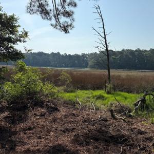Photo #23 of 5252 LUCAS TR, MACHIPONGO, VA 2.4 acres