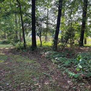 Photo #25 of 5252 LUCAS TR, MACHIPONGO, VA 2.4 acres