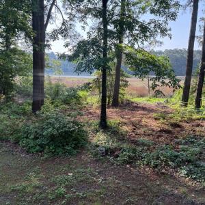 Photo #3 of 5252 LUCAS TR, MACHIPONGO, VA 2.4 acres