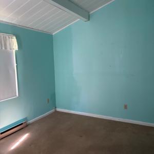 Photo #15 of 3560 CAPTAINS CORRIDOR, GREENBACKVILLE, VA 0.3 acres