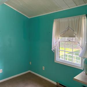 Photo #18 of 3560 CAPTAINS CORRIDOR, GREENBACKVILLE, VA 0.3 acres