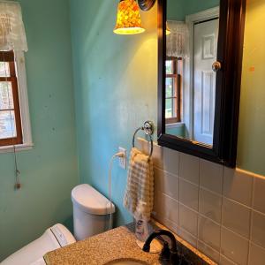 Photo #30 of 3560 CAPTAINS CORRIDOR, GREENBACKVILLE, VA 0.3 acres