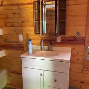 Photo #35 of 3560 CAPTAINS CORRIDOR, GREENBACKVILLE, VA 0.3 acres