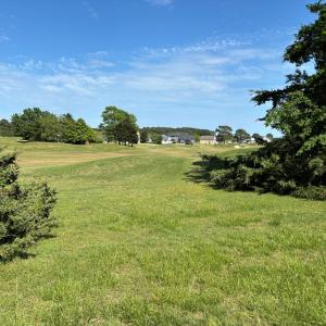 Photo #45 of 3560 CAPTAINS CORRIDOR, GREENBACKVILLE, VA 0.3 acres