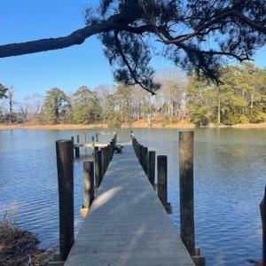 Photo #5 of 22080 VERLINDA LNDG NORTH, CAPE CHARLES, VA 0.5 acres